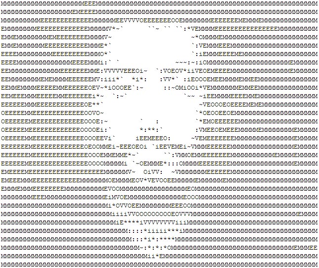 ASCII selfie