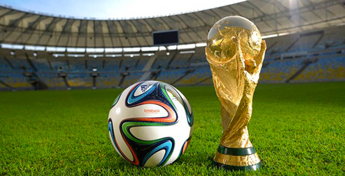 FIFA 2014 Dünya Kupası