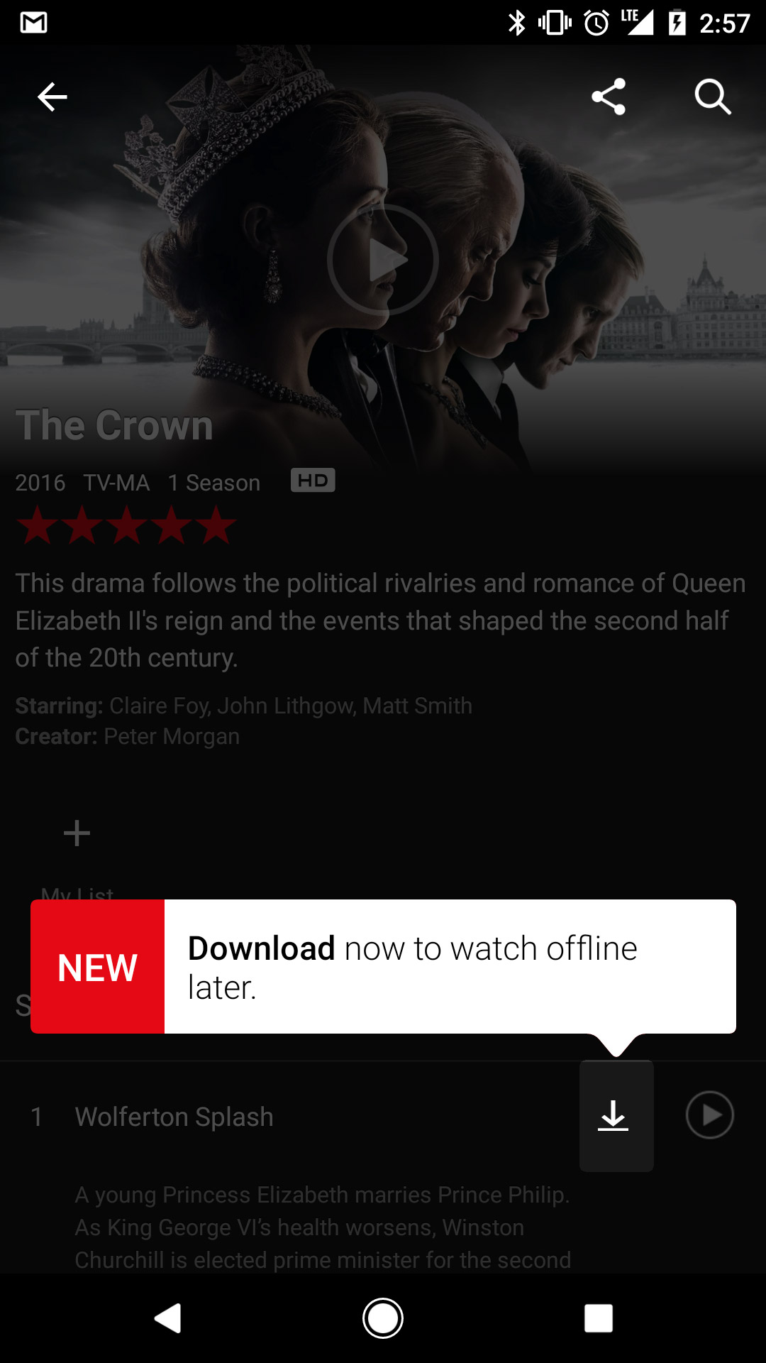 Netflix Çevrimdışı İzleme Offline