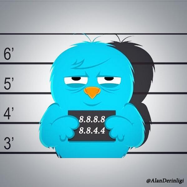 Tutuklu Twitter Kuşu ve DNS adresi