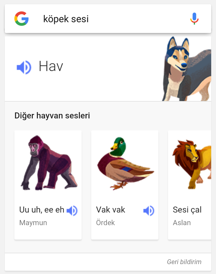 Google Hayvan Sesleri